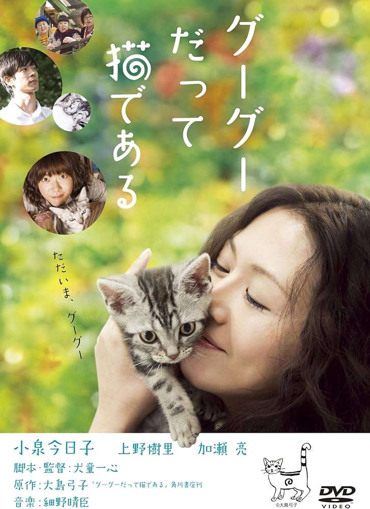 猫好きの心をくすぐる映画、教えてください