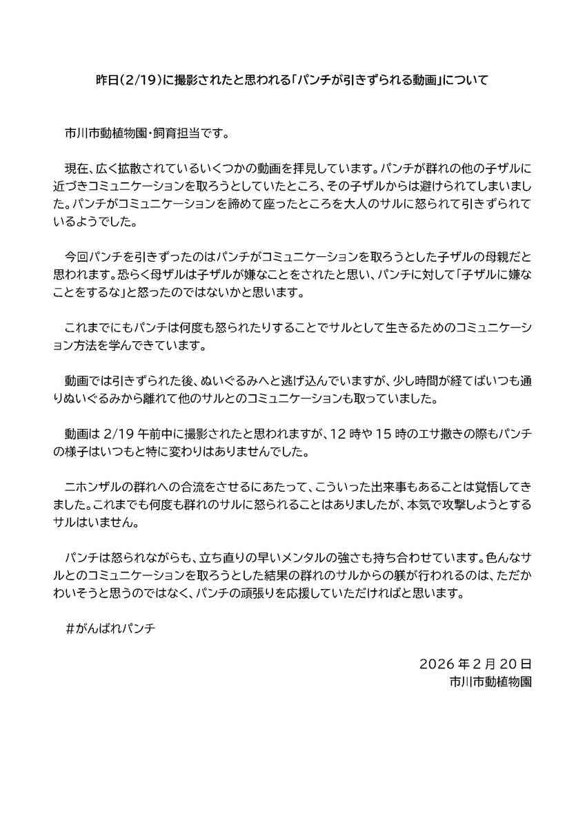 話題のニホンザル「パンチ」にいじめ? 動画拡散で市川動植物園が〝異例〟の声明 「攻撃ではなくコミュニケーション」