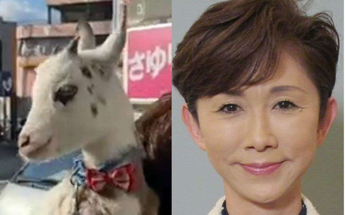 「ヤギに頭を下げさせ…」「グループLINEで叱責も」立憲・鎌田さゆり議員（60）の“深刻パワハラ”《秘書9人が連続退職していた》 | 文春オンライン