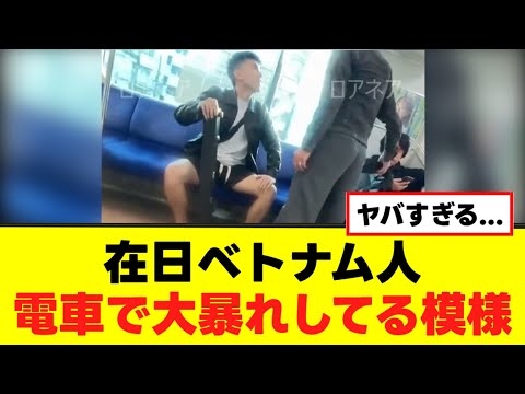 【衝撃】在日ベトナム人、電車で大暴れしてる模様