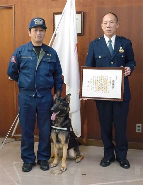 “スゴ鼻”警察犬ジゲン号 1年ぶり2度目のお手柄！ 雨雲迫る山で行方不明者を発見　今回もジャーキー1kgもらう