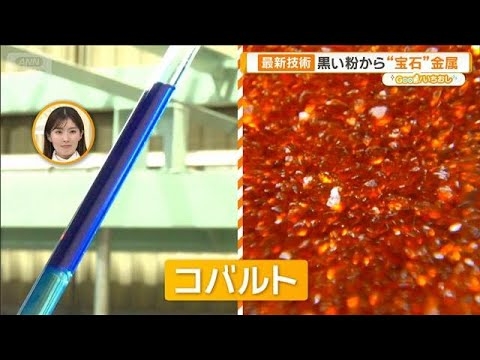世界最先端！廃電池からレアメタル　リチウムは90％超え回収成功【グッド！いちおし】【グッド！モーニング】(2026年2月4日)