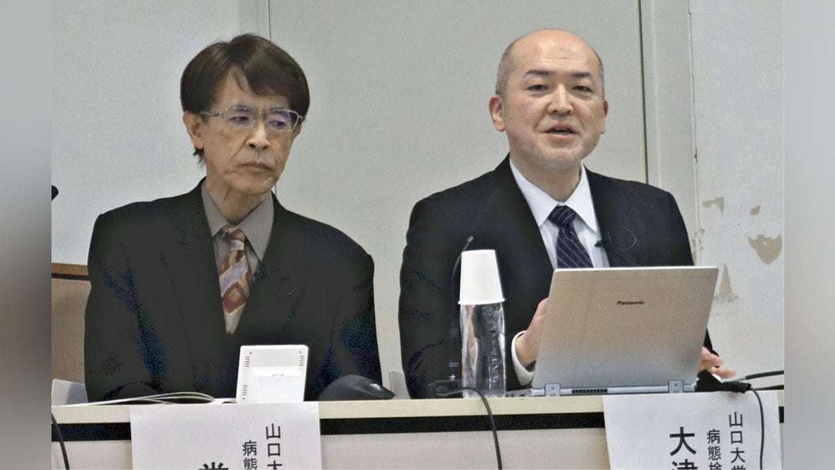 年１万人感染「猫ひっかき病」にご注意…研究者ら「むやみに野良猫を触らない」「飼い猫を外に出さない」 : 読売新聞