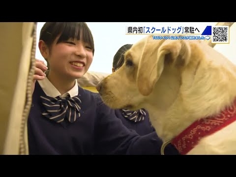 犬とふれあい生徒の心をケア　「スクールドッグ」がやってきた！　安田女子中学・高校で体験会　広島 (2025/12/09 18:24)