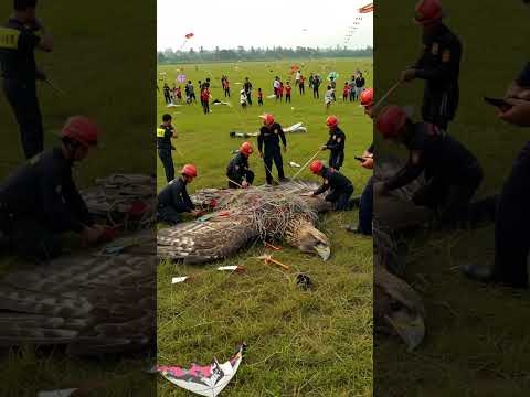 Elang Terjerat Tali Layangan❓??#shortvideo #shorts #ytshorts #ai #aivideo #eagle #garuda #fyp #viral