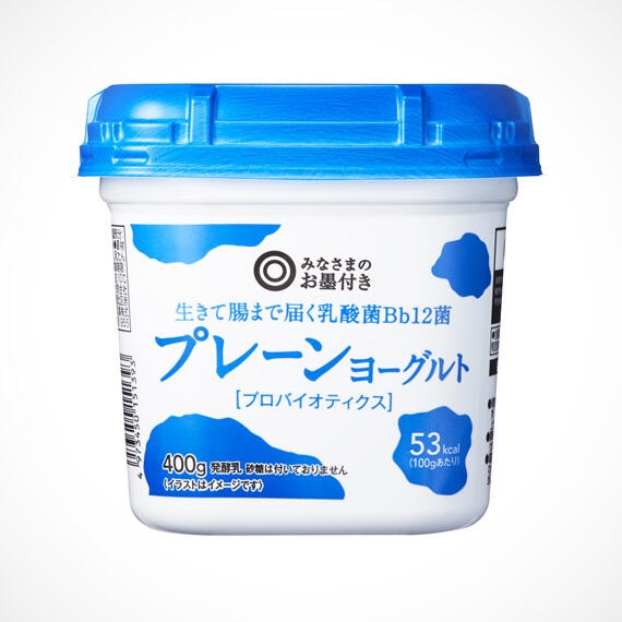 西友 - おいしいプレーンヨーグルト 400g | SEIYU