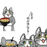 自民党が緊急事態条項で日本から人権なくそうとしてること本当にやめて欲しいわこ... | ガールズちゃんねる - Girls Channel -