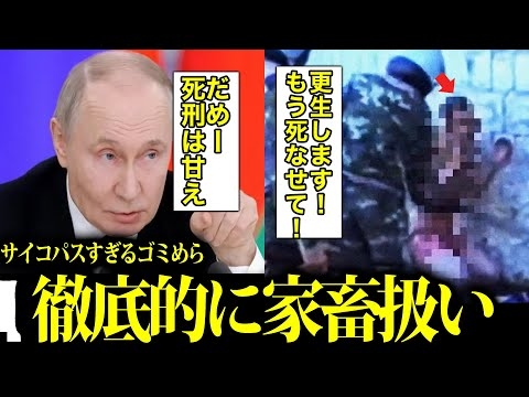 【素敵】ﾀﾋ刑の方がマシな世界一寒い監獄【フクロウ刑務所/ブラックドルフィン】