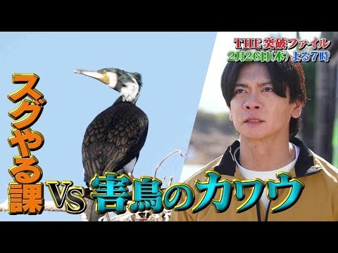 【公式】THE突破ファイル 2月26日（木）よる7時～