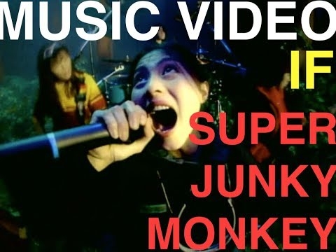 SUPER JUNKY MONKEY 『IF』