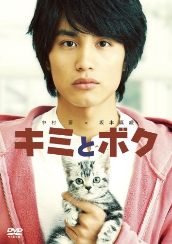 猫好きの心をくすぐる映画、教えてください