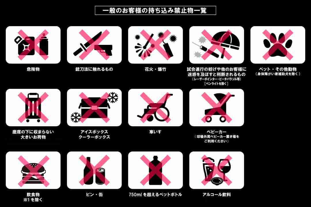 スタジアムルール - 千葉ロッテマリーンズ