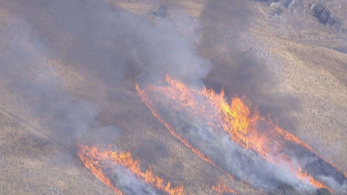 作業員の衣服に火が燃え移り死亡…恒例の秋吉台・山焼きで　山口・美祢 | TBS NEWS DIG