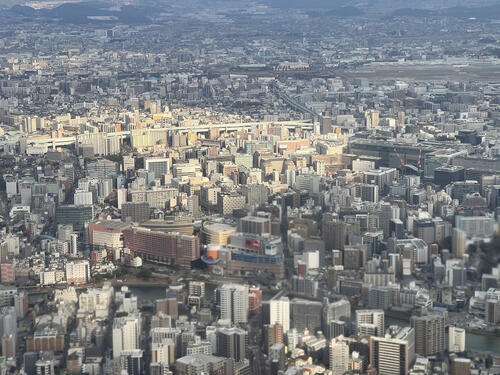嵐とドリカム、新幹線５本動かす　４月の博多、特別なツアー重なり、JR西が臨時列車を発表 - 音楽 : 日刊スポーツ