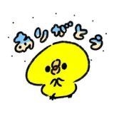 緊急事態条項が可決して憲法が変わったら日本から人権がなくなることを1人でも多く... | ガールズちゃんねる - Girls Channel -