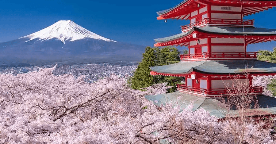 民家の庭先での排泄行為や交通渋滞の慢性化…富士吉田市が決断した「桜まつり」中止　米紙の報道に海外から意外な反応 (Hint-Pot)