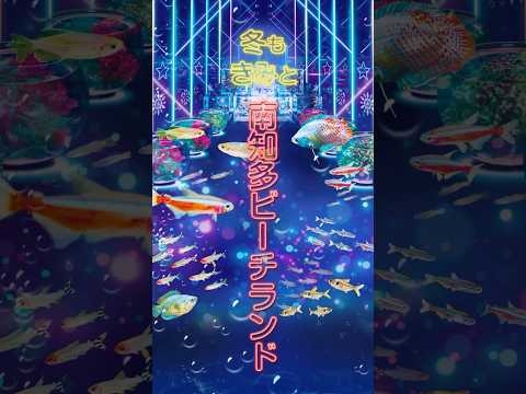 南知多ビーチランド2025冬【冬も君と！南知多ビーチランド】