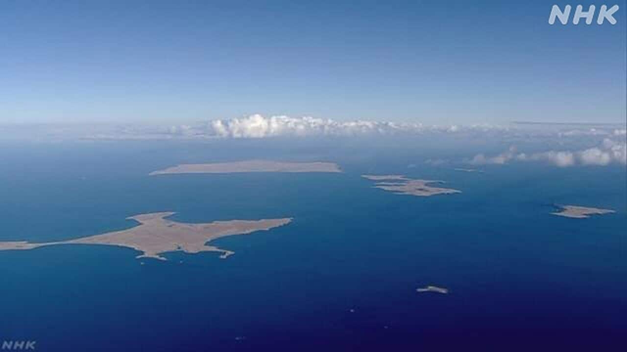 ロシア報道官 “日本と対話存在せず 平和条約の議論は不可能” | NHKニュース | ロシア、北方領土、高市内閣