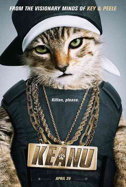 猫好きの心をくすぐる映画、教えてください