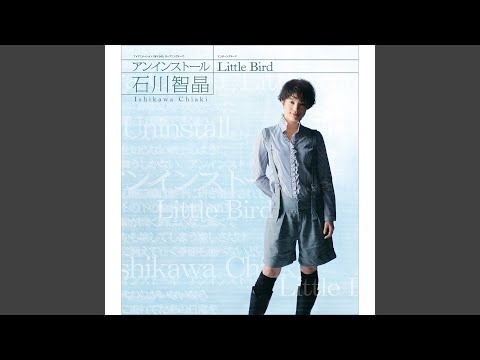 Little Bird