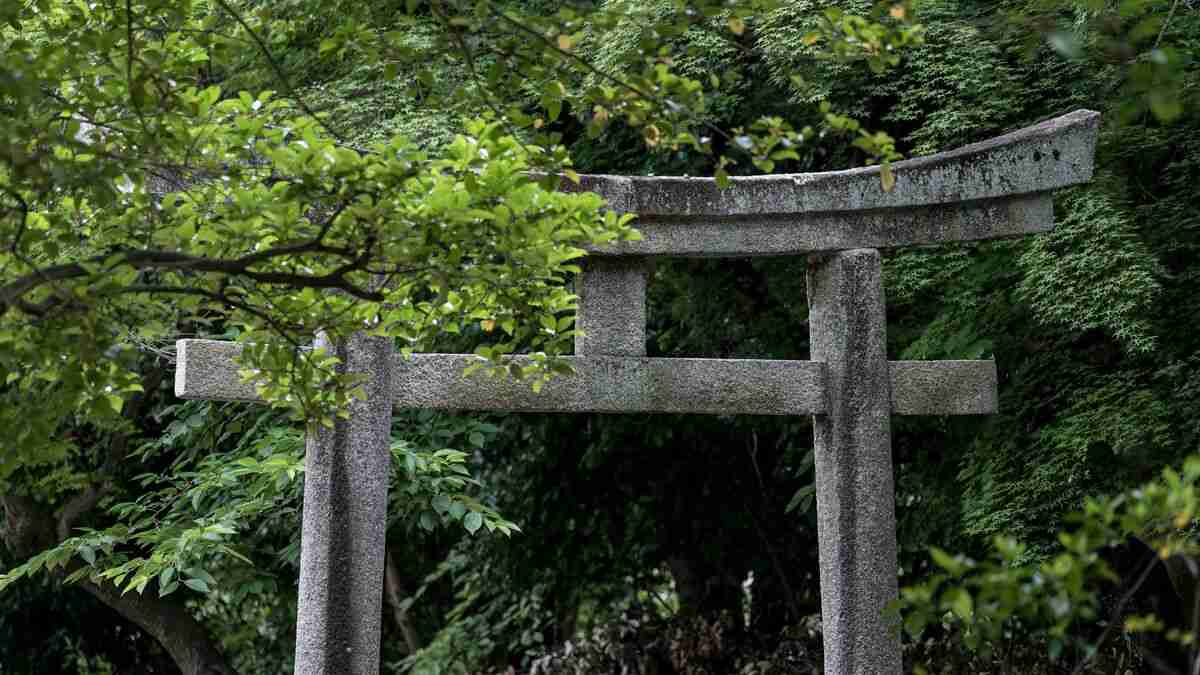日本の歴史ある寺社が中国人の｢BBQ会場｣にされている…跡継ぎなき宗教法人を狙う外国人の｢本当の目的｣ ビザを取得でき、税制優遇まで受けられる | PRESIDENT Online（プレジデントオンライン）