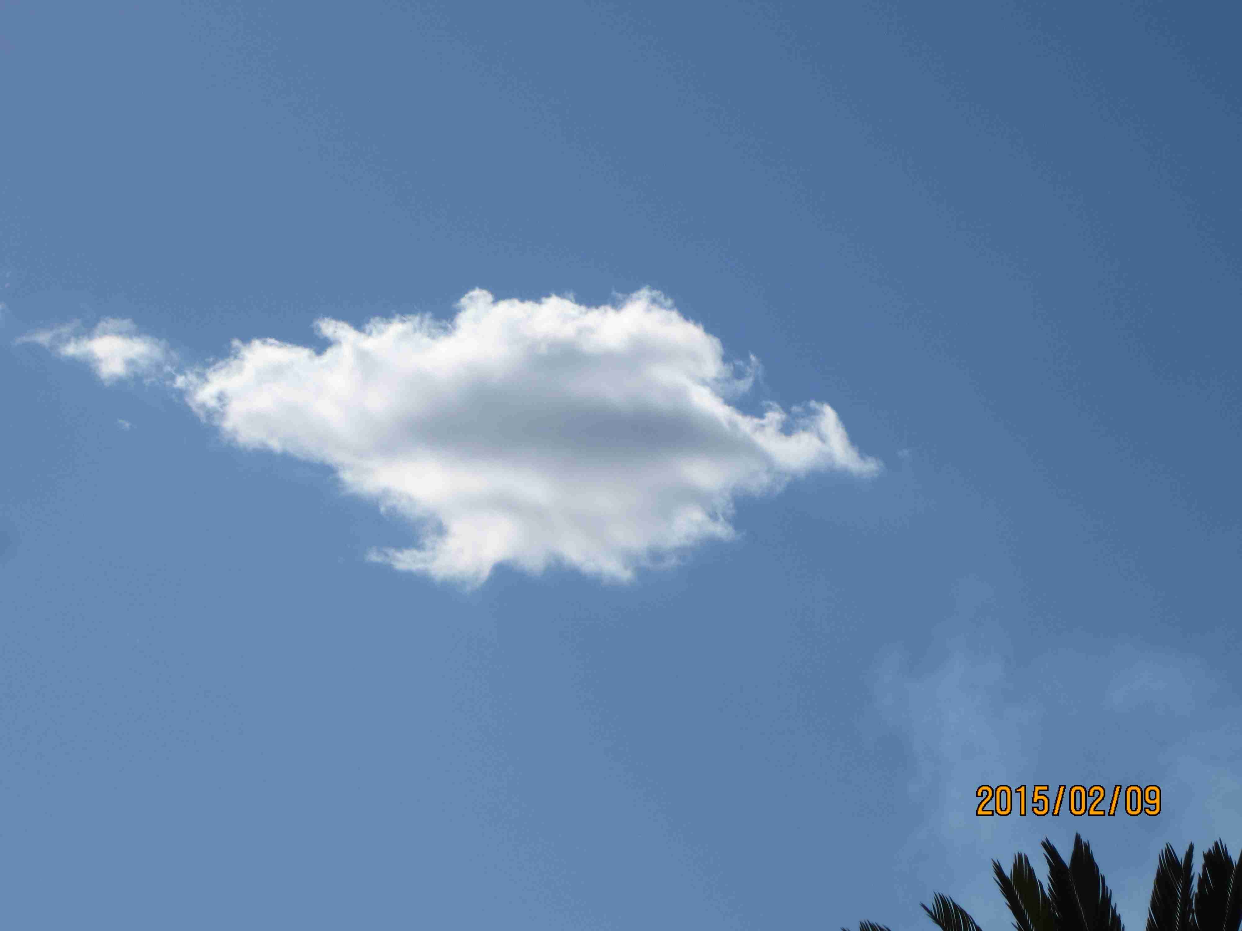 国連は、アドレノクロム・ペド犯罪を合法化しようとしている！ | 青い夜明けを楽しもう