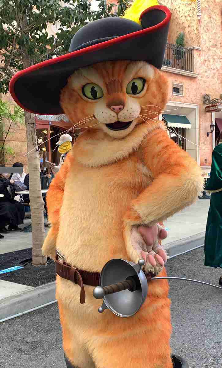 猫好きの心をくすぐる映画、教えてください