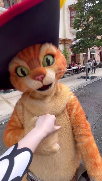 猫好きの心をくすぐる映画、教えてください