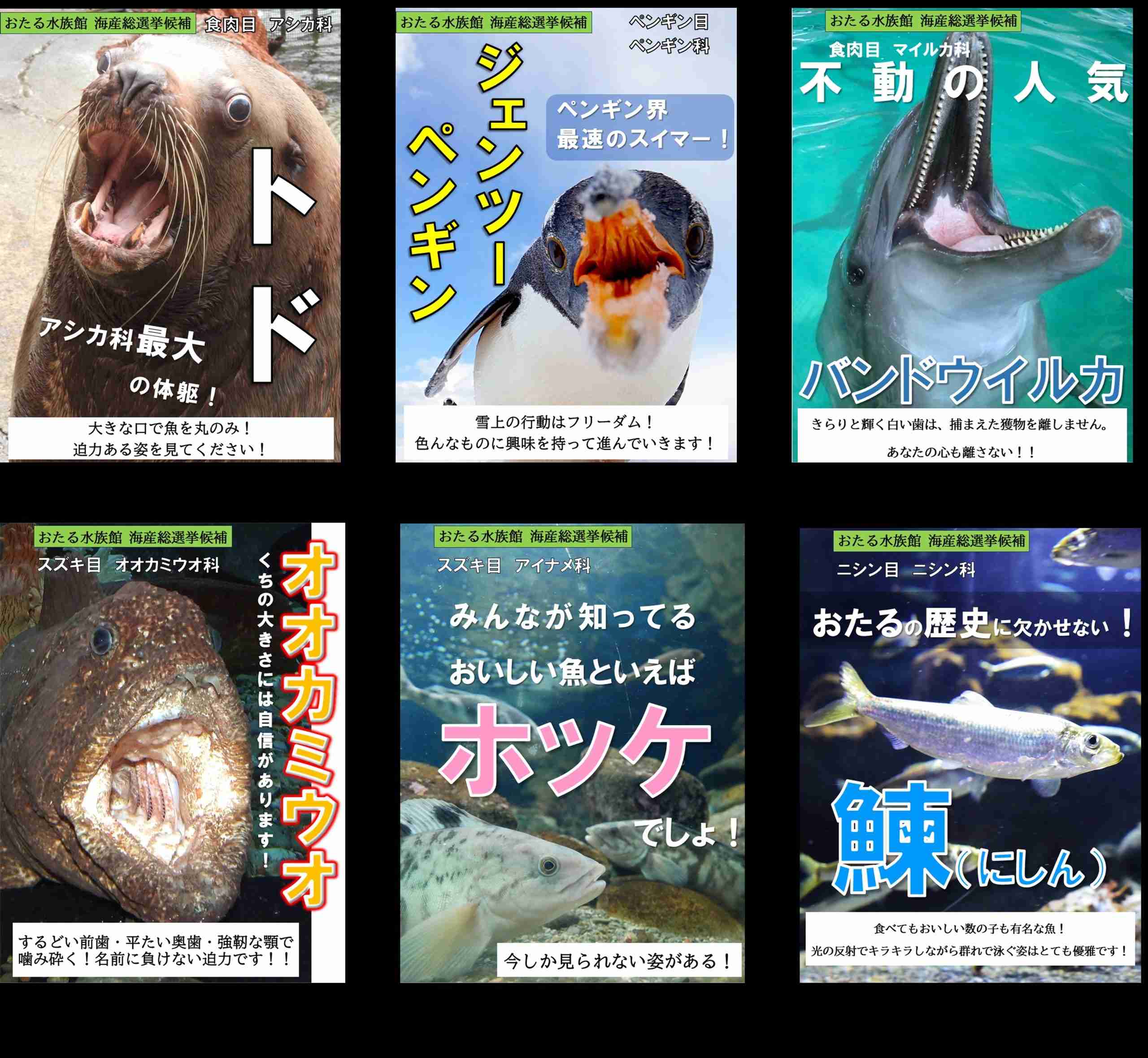 週末にガル民が集まる雑談トピ part6