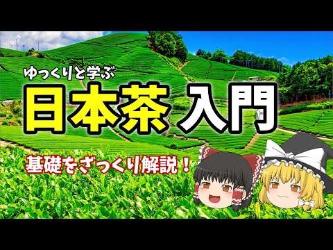 ?【初心者向け】ゆっくりで学ぶ！日本茶入門～基礎知識をざっくり解説～