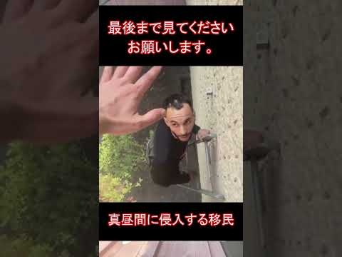 真昼間に侵入する移民