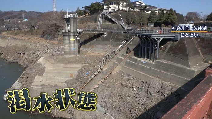 ダムの渇水で観光客増加　マナー違反続出！路上駐車に危険横断　危険な場所への侵入も「死にかけているぐらいの人もいる」県も注意喚起　神奈川