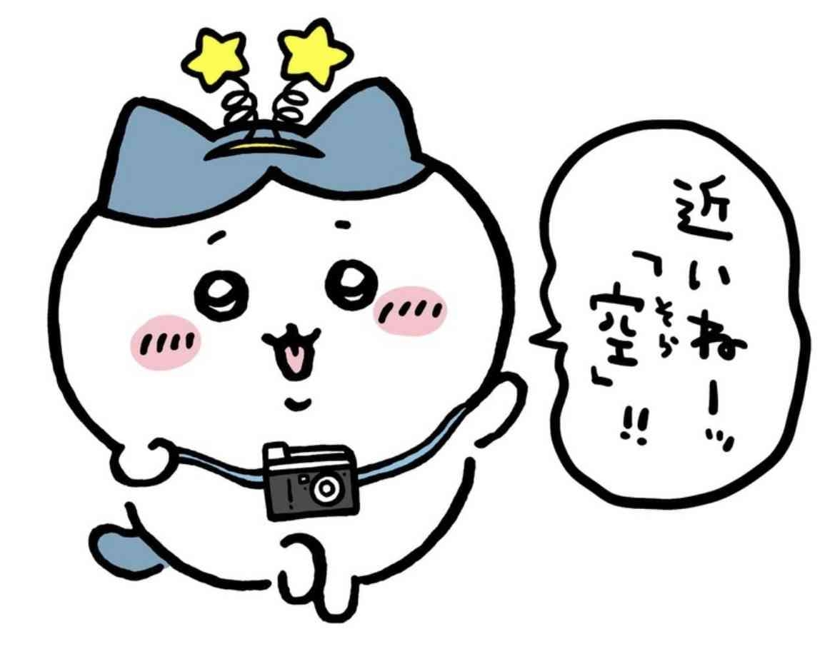 【ちいかわ】ハチワレみたいに暮らしたい