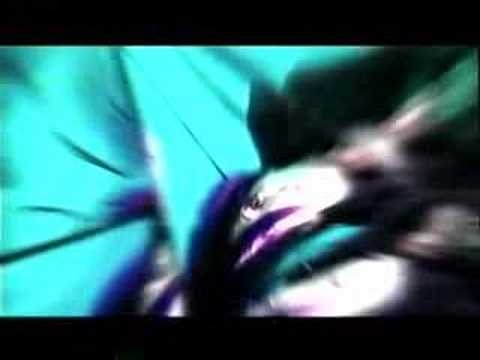 [ PV ]  Due