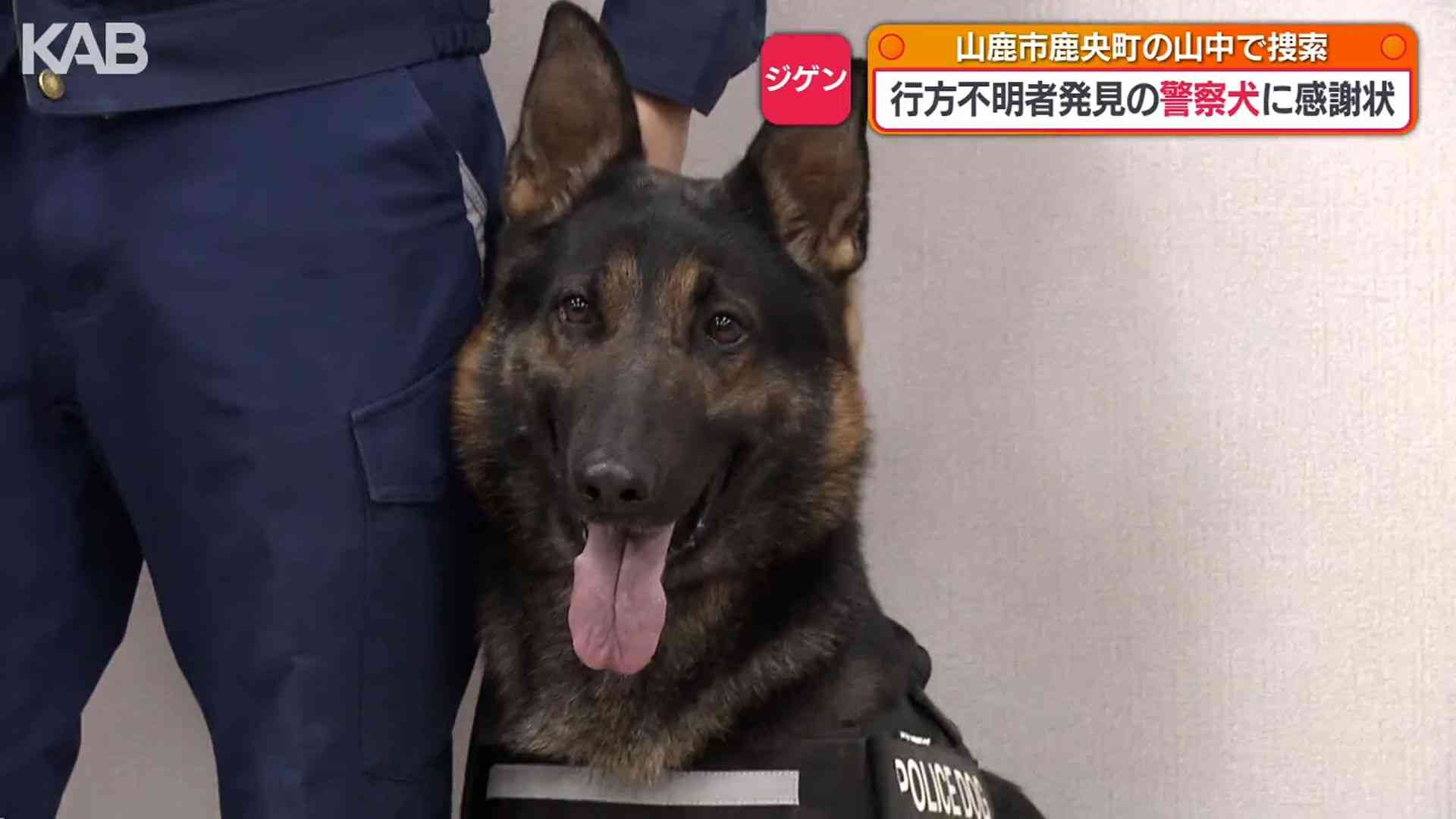 行方不明者の捜索でお手柄！警察犬「ジゲン」に感謝状とジャーキー