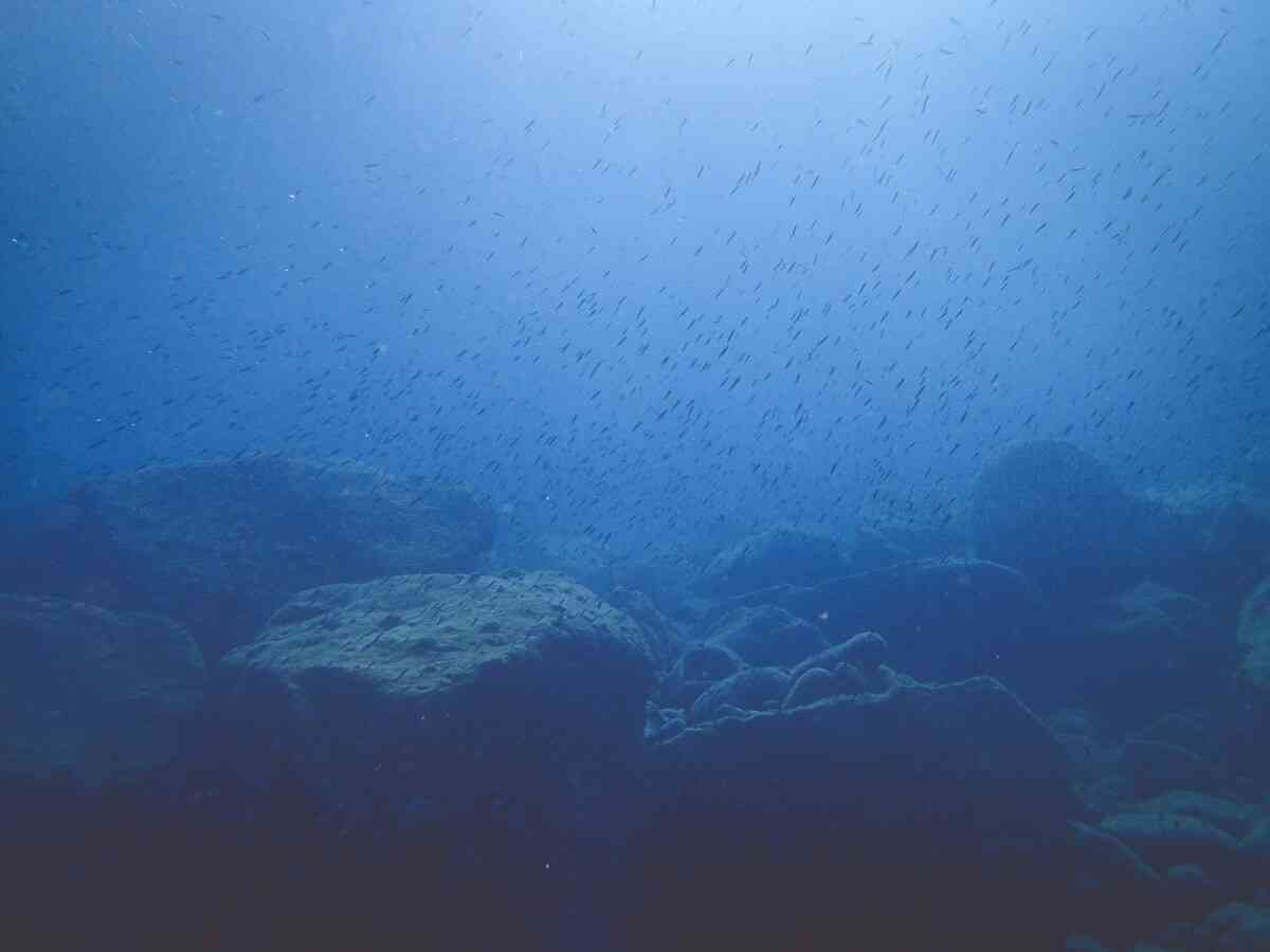 日本が深海レアアース泥の試掘に成功、中国ネット「精錬できるのか？」「一切売らなければ」