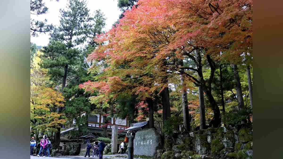 永平寺宿泊の女子高生１４人、修行僧に尻を触られる…研修責任者「慚愧に堪えない」 : 読売新聞