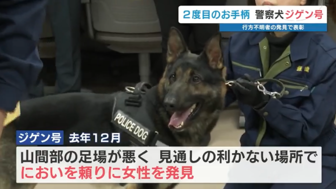 “スゴ鼻”警察犬ジゲン号 1年ぶり2度目のお手柄！ 雨雲迫る山で行方不明者を発見　今回もジャーキー1kgもらう