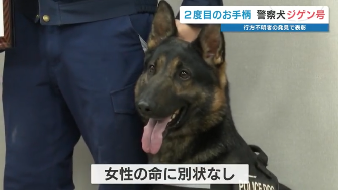 “スゴ鼻”警察犬ジゲン号 1年ぶり2度目のお手柄！ 雨雲迫る山で行方不明者を発見　今回もジャーキー1kgもらう