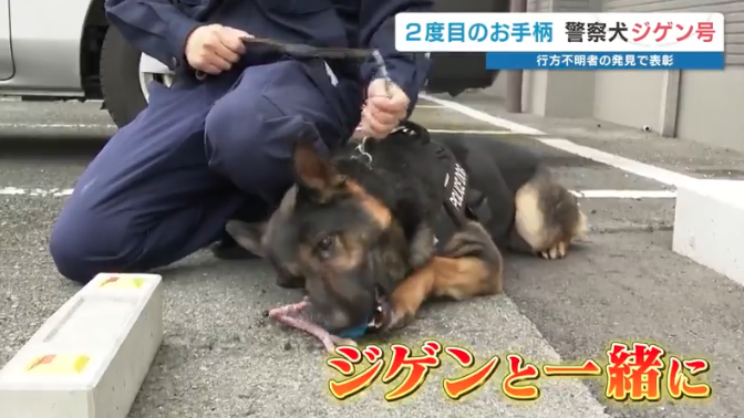 “スゴ鼻”警察犬ジゲン号 1年ぶり2度目のお手柄！ 雨雲迫る山で行方不明者を発見　今回もジャーキー1kgもらう