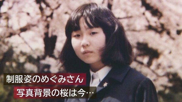 46年の歳月語る桜… 拉致被害者・横田めぐみさん 公開捜査に使用された写真“背景の桜”は今【新潟発】｜FNNプライムオンライン