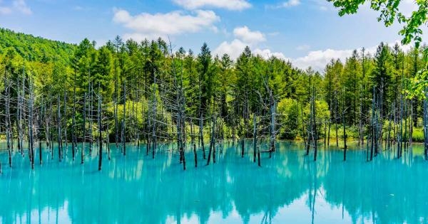 【心残り】また行きたい観光地【楽しかった】