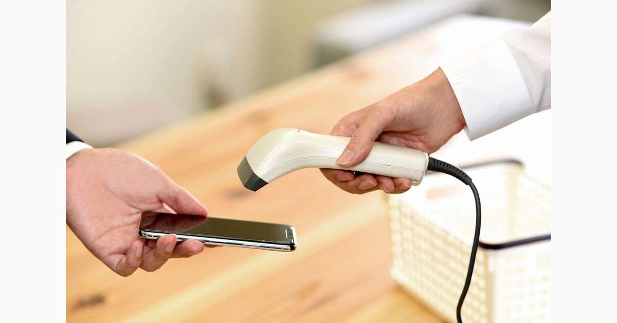 PayPayを狙うサイバー犯罪に注意、被害の実態と対策を知る | TECH+（テックプラス）