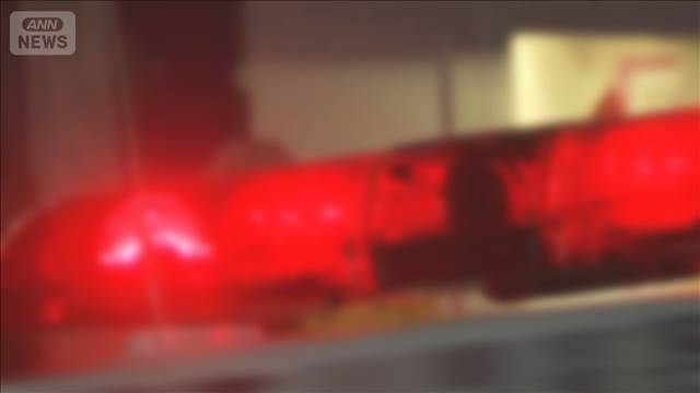 衆院選候補らに暴行か　男2人逮捕　選挙の自由妨害の疑い　埼玉県警（テレ朝NEWS）｜ｄメニューニュース（NTTドコモ）