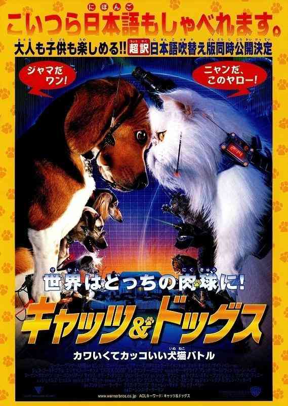 猫好きの心をくすぐる映画、教えてください