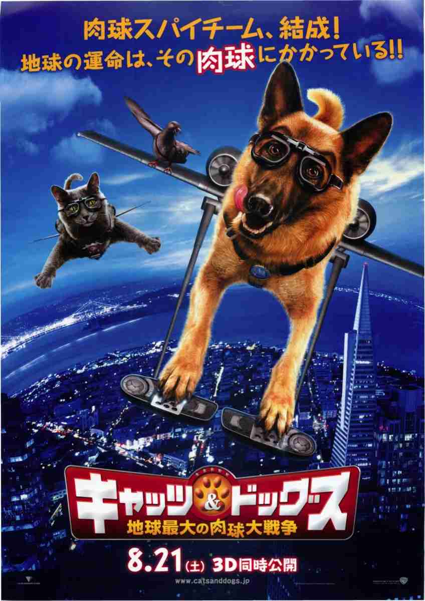 猫好きの心をくすぐる映画、教えてください