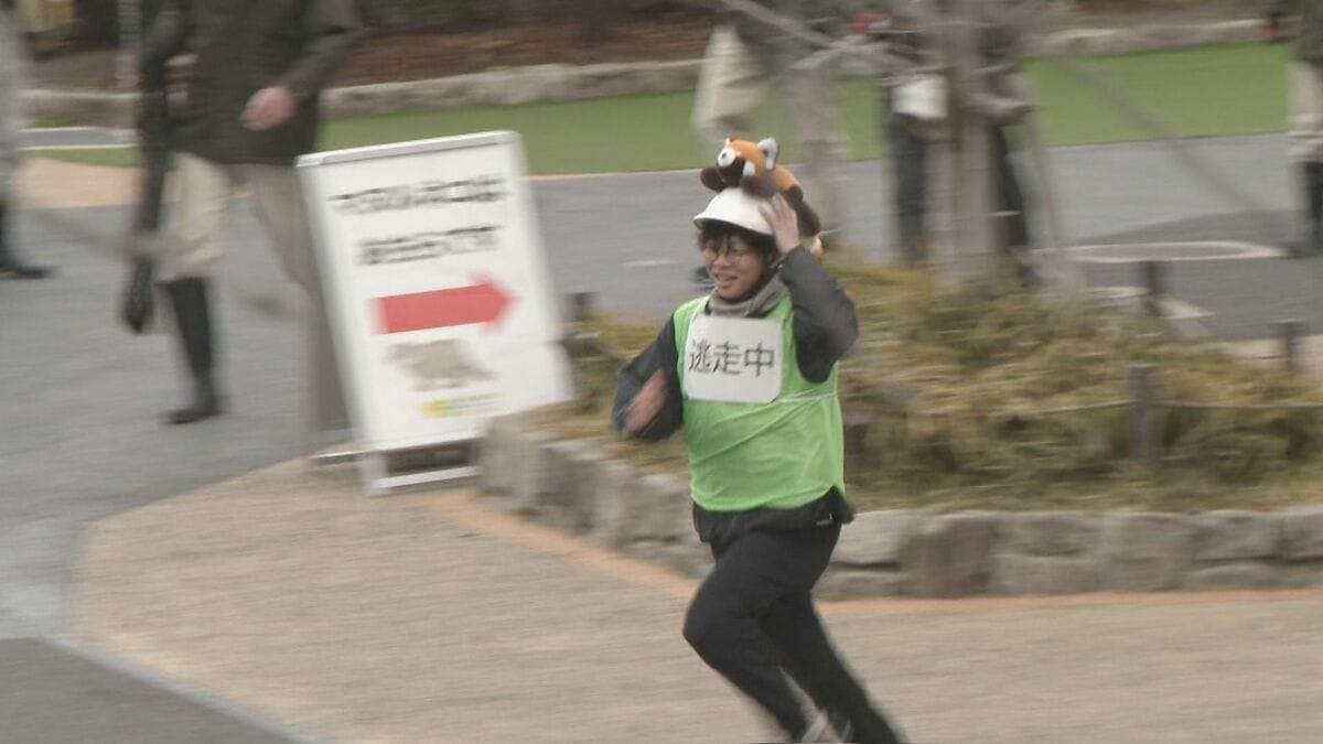 動物の脱走を想定した捕獲訓練 ｢もし逃げても万全の対応ができるように｣  レッサーパンダ役の職員が園内を逃げ回る 名古屋･東山動植物園 | 名古屋・愛知・岐阜・三重のニュース【CBC news】 | CBC web (1ページ)
