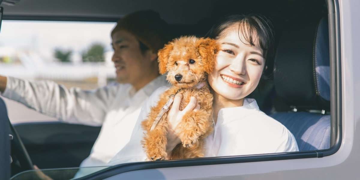 「規約違反では？」タイムズカー車両に“ペット同乗”か、SNS波紋　運営会社の見解は - 弁護士ドットコム