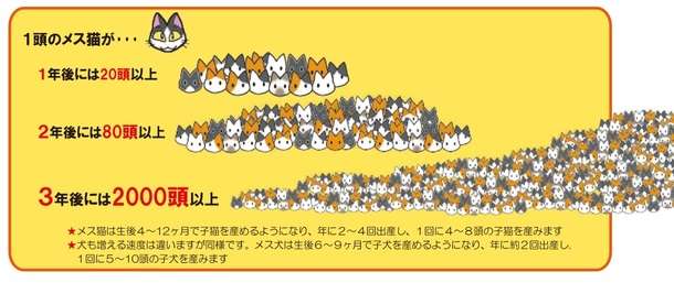 3連休だよ！雑談しようよ