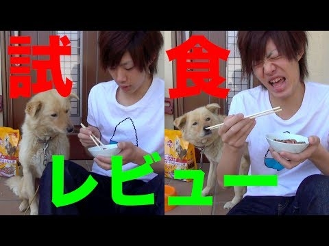 【超可愛い】犬と一緒にドッグフードレビュー！
